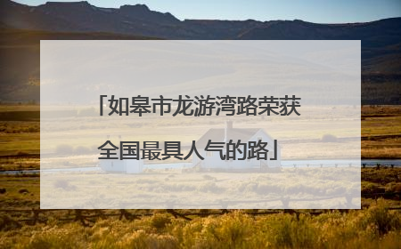 如皋市龙游湾路荣获全国最具人气的路