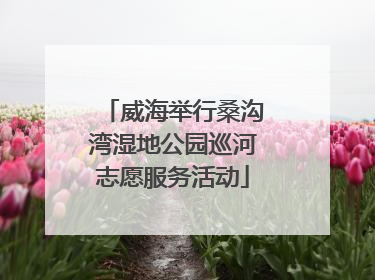 威海举行桑沟湾湿地公园巡河志愿服务活动