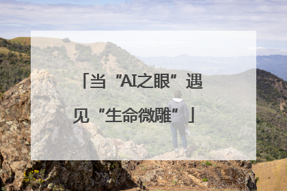 当“AI之眼”遇见“生命微雕”