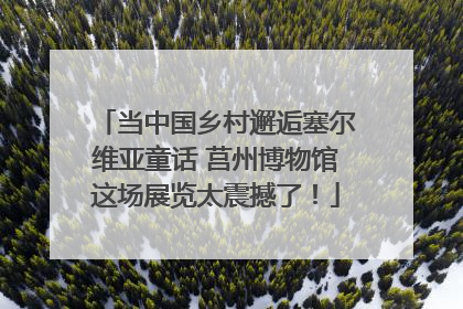 当中国乡村邂逅塞尔维亚童话 莒州博物馆这场展览太震撼了！