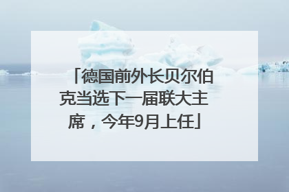 德国前外长贝尔伯克当选下一届联大主席，今年9月上任