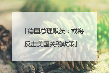 德国总理默茨：或将反击美国关税政策