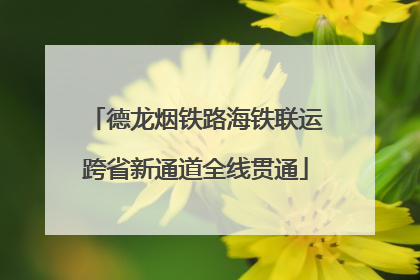 德龙烟铁路海铁联运跨省新通道全线贯通