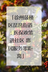 徐州鼓楼区琵琶街道：医保政策进社区 惠民服务零距离