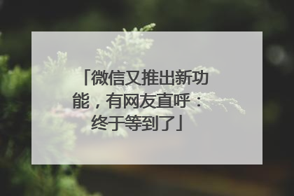 微信又推出新功能，有网友直呼：终于等到了