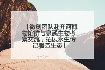 微刻团队赴齐河博物馆群与泉溪生物考察交流，拓展永生传记服务生态