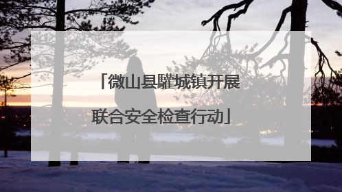 微山县驩城镇开展联合安全检查行动