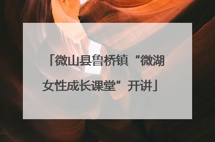 微山县鲁桥镇“微湖女性成长课堂”开讲