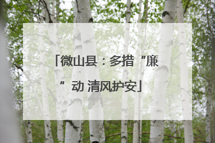 微山县：多措“廉”动 清风护安