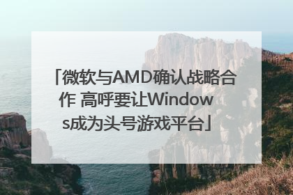 微软与AMD确认战略合作 高呼要让Windows成为头号游戏平台