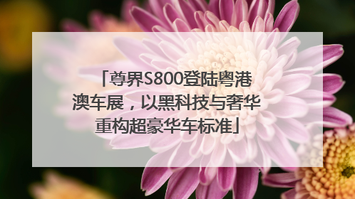 尊界S800登陆粤港澳车展，以黑科技与奢华重构超豪华车标准