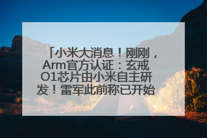 小米大消息！刚刚，Arm官方认证：玄戒O1芯片由小米自主研发！雷军此前称已开始大规模量产