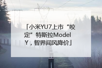 小米YU7上市“咬定”特斯拉Model Y，智界闻风降价