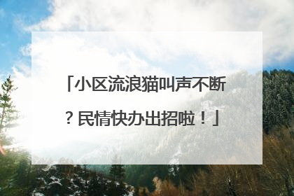 小区流浪猫叫声不断？民情快办出招啦！
