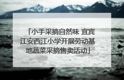 小手采摘自然味 宜宾江安西江小学开展劳动基地蔬菜采摘售卖活动