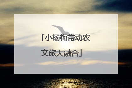 小杨梅带动农文旅大融合