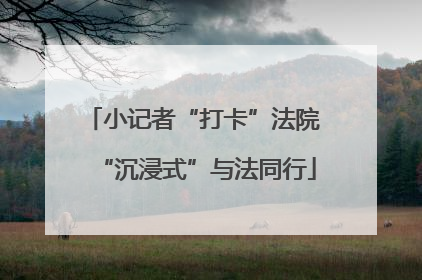 小记者“打卡”法院 “沉浸式”与法同行