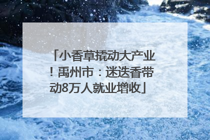 小香草撬动大产业！禹州市：迷迭香带动8万人就业增收