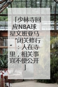 少林寺回应NBA球星文班亚马“闭关修行”：人在寺里，相关事宜不便公开