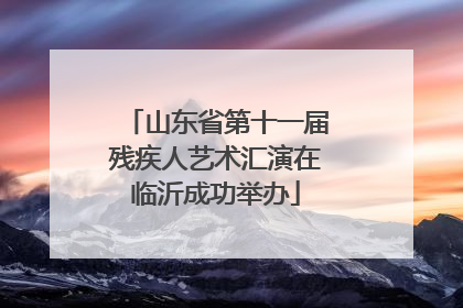 山东省第十一届残疾人艺术汇演在临沂成功举办