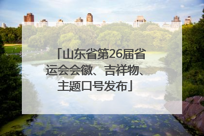 山东省第26届省运会会徽、吉祥物、主题口号发布