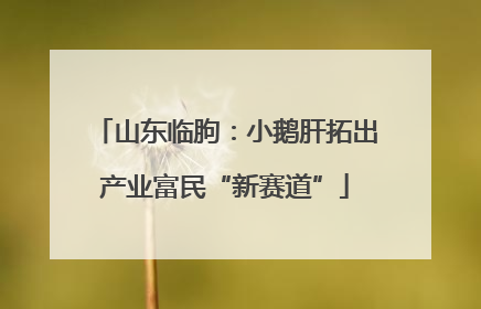 山东临朐：小鹅肝拓出产业富民“新赛道”