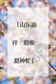 山东嘉祥：夏收夏种忙