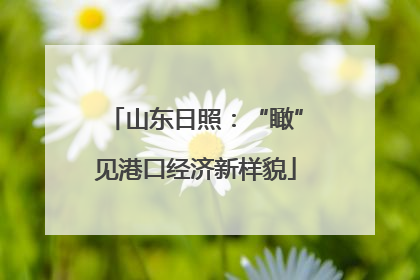 山东日照：“瞰”见港口经济新样貌
