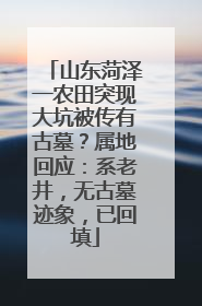 山东菏泽一农田突现大坑被传有古墓？属地回应：系老井，无古墓迹象，已回填
