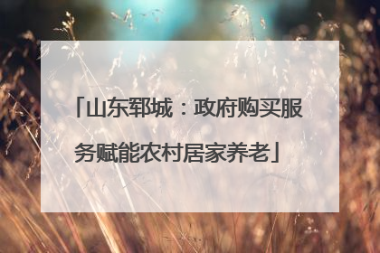 山东郓城：政府购买服务赋能农村居家养老