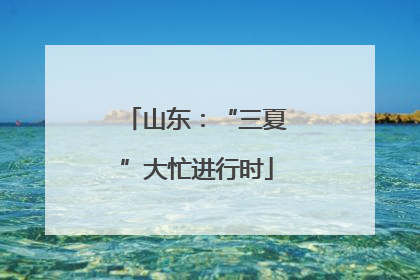 山东：“三夏”大忙进行时