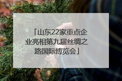 山东22家重点企业亮相第九届丝绸之路国际博览会