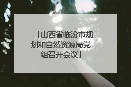 山西省临汾市规划和自然资源局党组召开会议