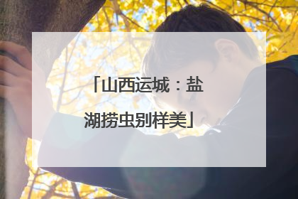 山西运城：盐湖捞虫别样美