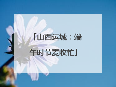 山西运城：端午时节麦收忙