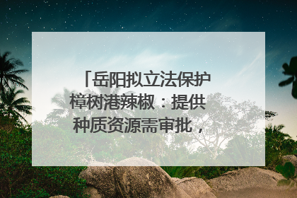 岳阳拟立法保护樟树港辣椒：提供种质资源需审批，违规最高罚5万