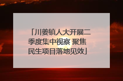 川姜镇人大开展二季度集中视察 聚焦民生项目落地见效