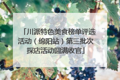 川派特色美食榜单评选活动（绵阳站）第三批次探店活动圆满收官