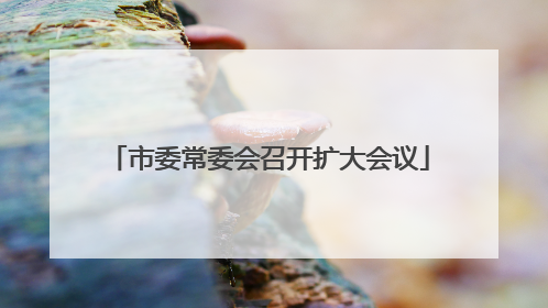 市委常委会召开扩大会议