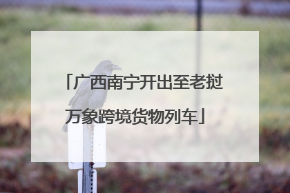 广西南宁开出至老挝万象跨境货物列车