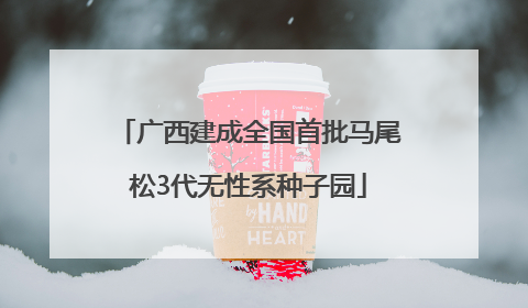 广西建成全国首批马尾松3代无性系种子园