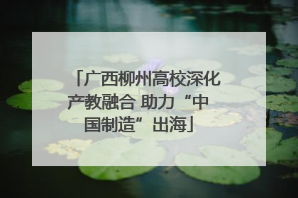 广西柳州高校深化产教融合 助力“中国制造”出海