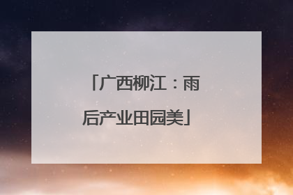 广西柳江：雨后产业田园美