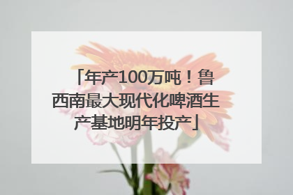 年产100万吨！鲁西南最大现代化啤酒生产基地明年投产