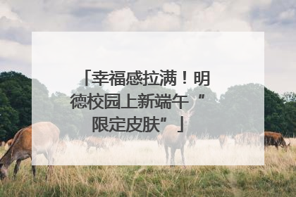 幸福感拉满！明德校园上新端午“限定皮肤”