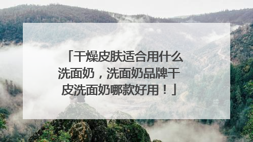干燥皮肤适合用什么洗面奶，洗面奶品牌干皮洗面奶哪款好用！