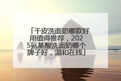 干皮洗面奶哪款好用值得推荐，2025氨基酸洗面奶哪个牌子好，温和在线