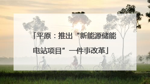 平原：推出“新能源储能电站项目”一件事改革
