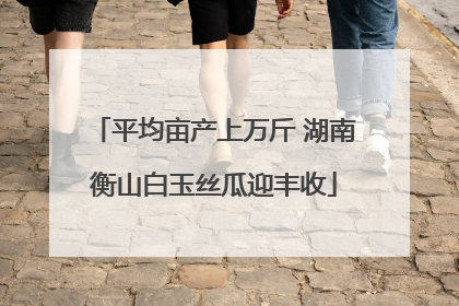 平均亩产上万斤 湖南衡山白玉丝瓜迎丰收