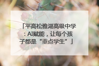 平高松雅湖高级中学：AI赋能，让每个孩子都是“重点学生”